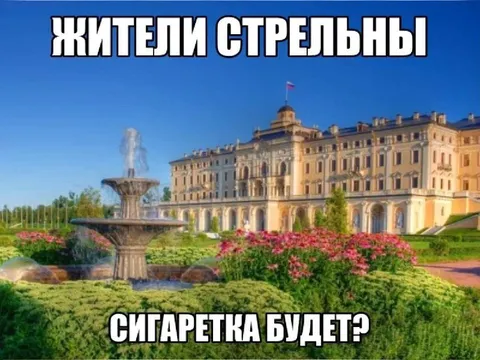 Жители Стрельны про сигаретку