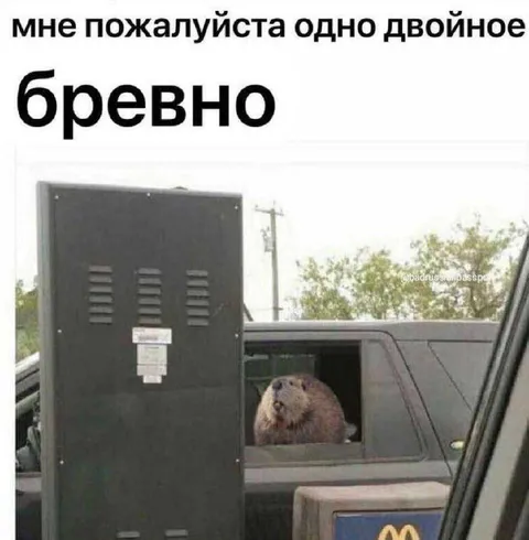 Одно двойное бревно