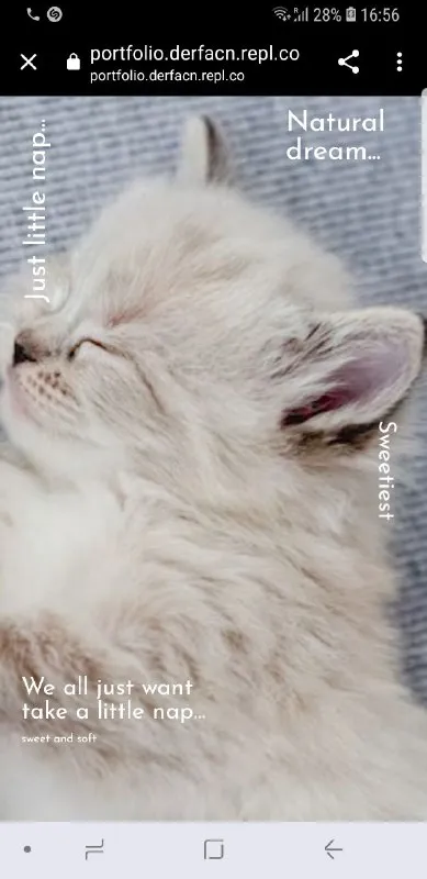We All Just Want a Little Nap