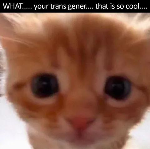 Confused Cat Learns About Trans Generations