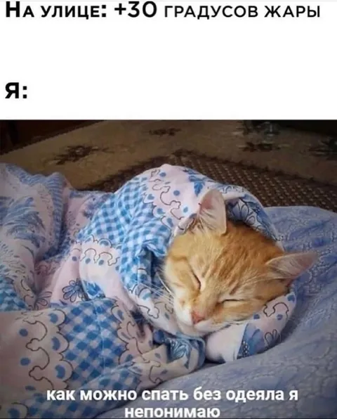 Кот под одеялом в жару