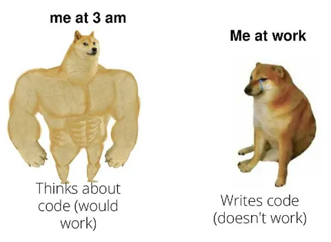 Buff Doge Thinks About Code