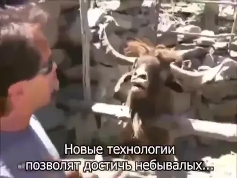 Где Bloodborne на ПК?