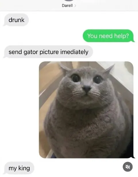 Send Gator Picture Immediately