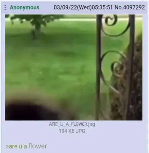 Are U a Flower?