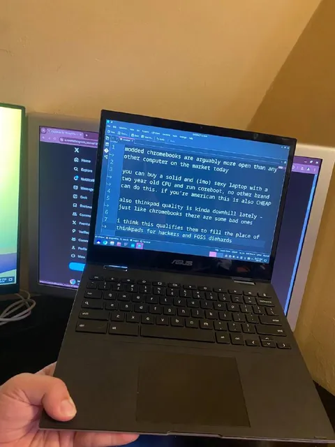 Modded Chromebooks for Hackers