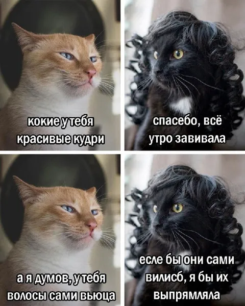 Кудри, которые сами вьются
