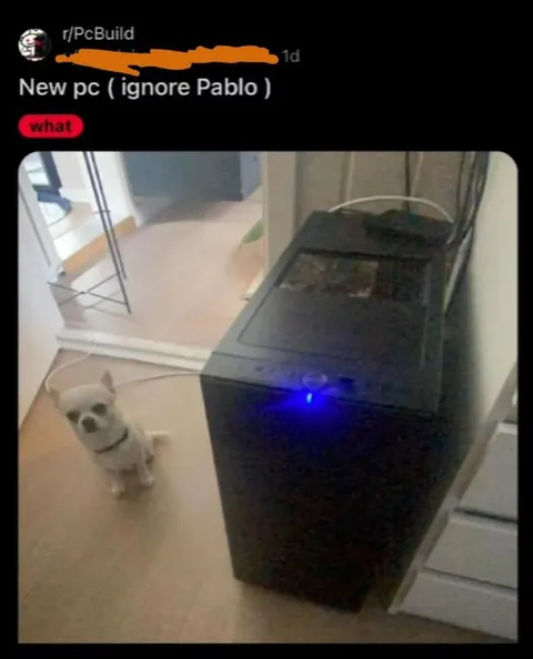 New PC, Ignore Pablo