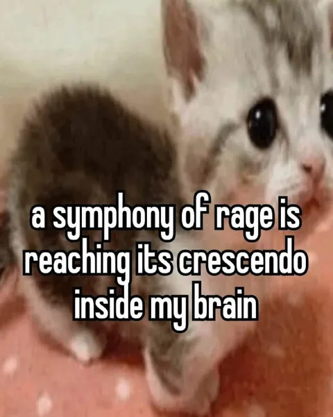 Symphony of Rage
