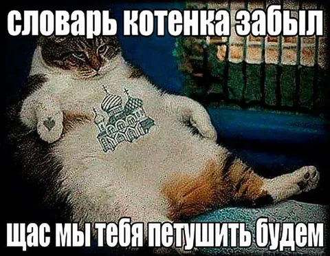 Котенок забыл словарь