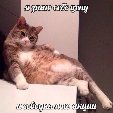 Я знаю себе цену по акции