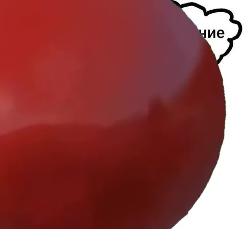 Отчисление прилетело помидором