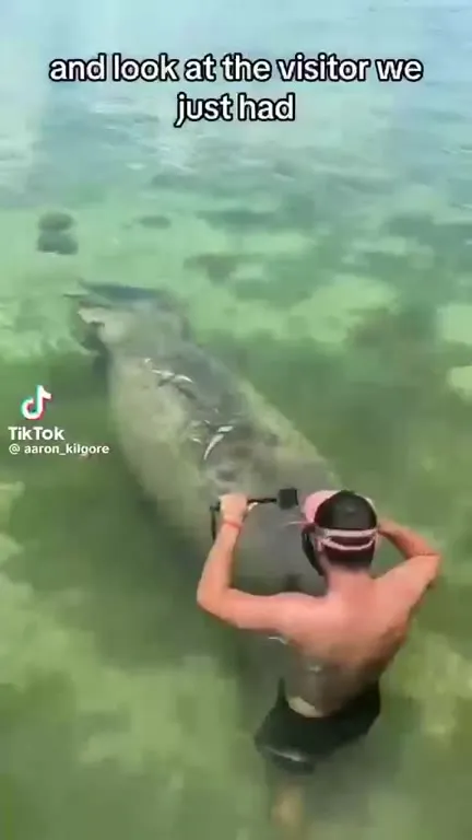 PhD in Marine Biology