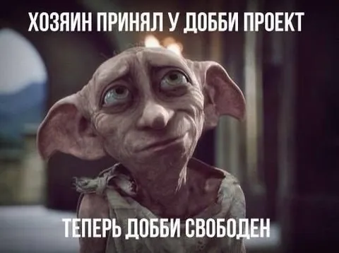 Хозяин принял у Добби проект