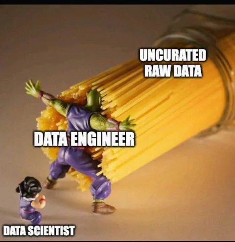 Data Engineer Pulling Raw Data