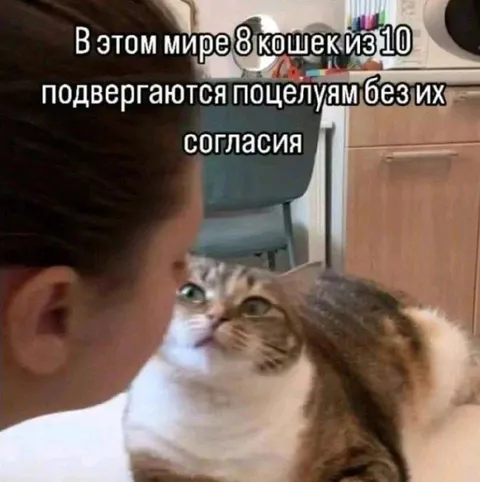 Кошка против поцелуя без согласия