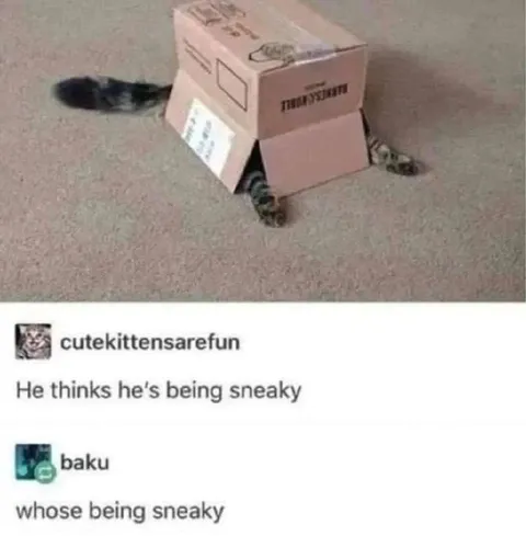 Cat Thinks He’s Being Sneaky