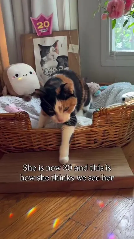 How She Thinks We See Her