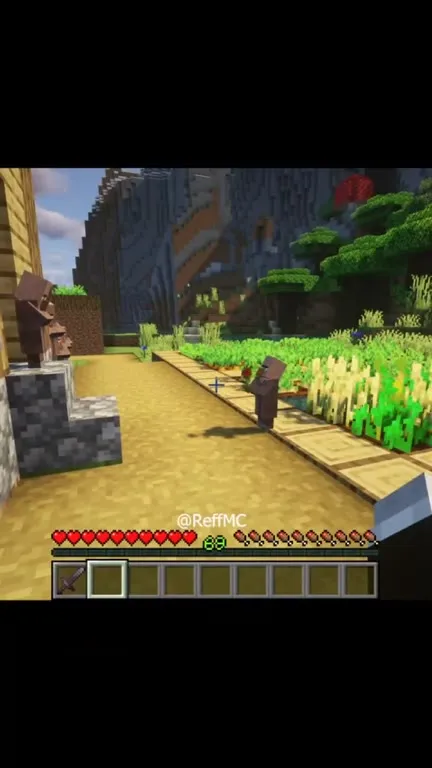 Жители Minecraft собираются вместе