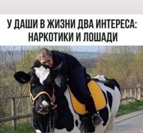 Два интереса Даши