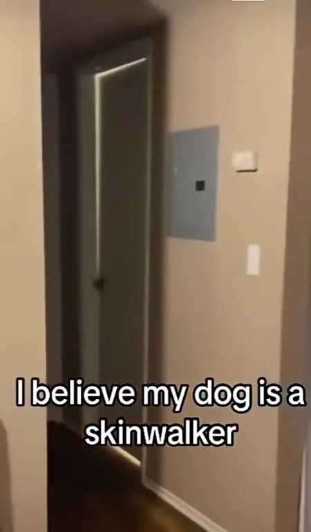 My Dog Is a Skinwalker