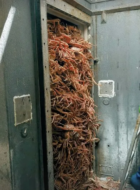 Лифт, полный крабов