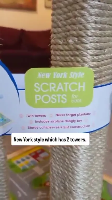 Cat Reviews the Twin Towers Scratcher
