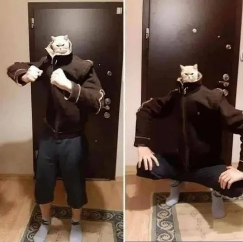 Кот в позах ДжоДжо