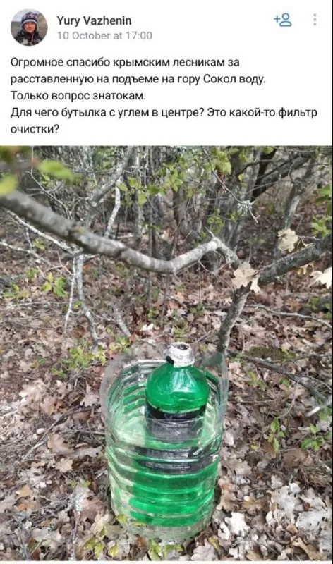 Бутылка с углем в лесу
