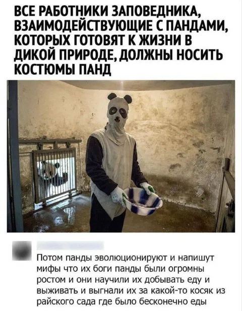 Панды эволюционируют и пишут мифы