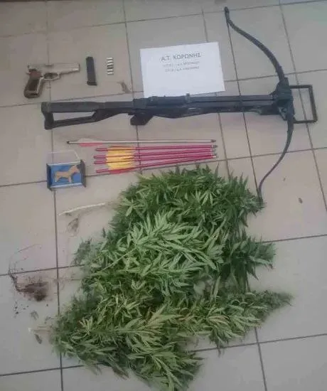 Κατάσχεση όπλων και κάνναβης