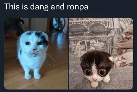 This Is Dang and Ronpa Cats