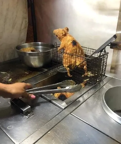 Курица, которая сидит