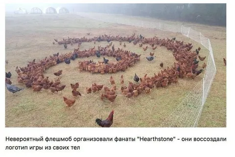 Фанаты Hearthstone воссоздали логотип