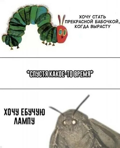 Гусеница хочет ебучую лампу