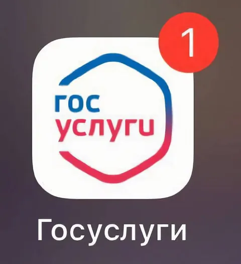 Госуслуги с уведомлением