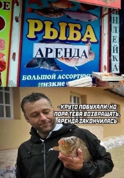 Аренда рыбы закончилась