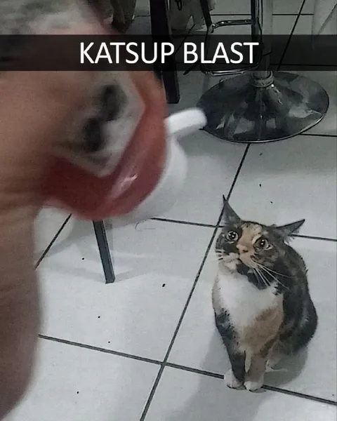 Katsup Blast Cat