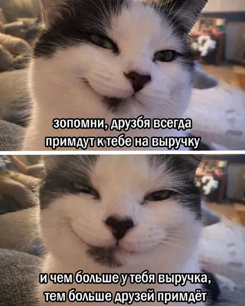 Чем больше выручка, тем больше друзей