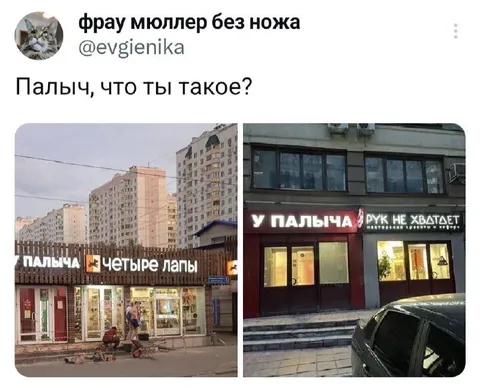 Палыч и четыре лапы