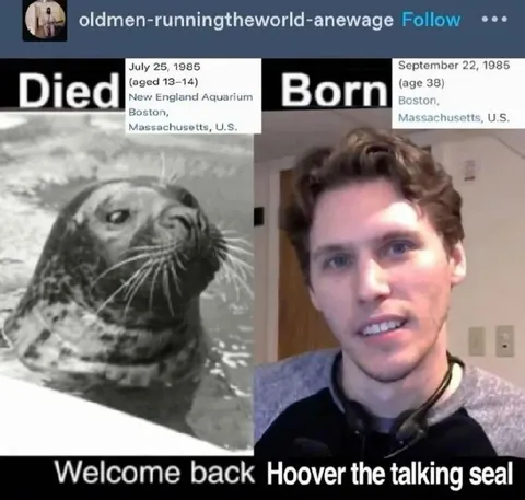 Hoover the Talking Seal Returns
