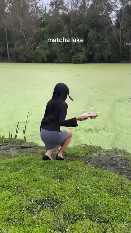 Матча из озера