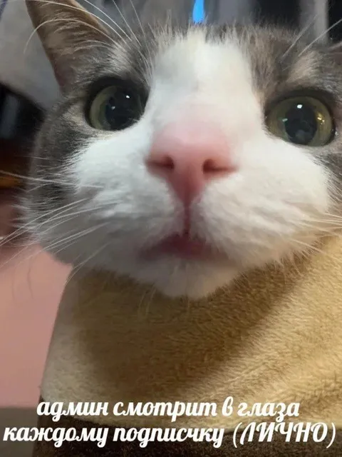 Админ смотрит каждому в глаза