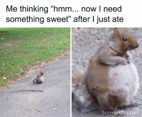 Squirrel craving something sweet