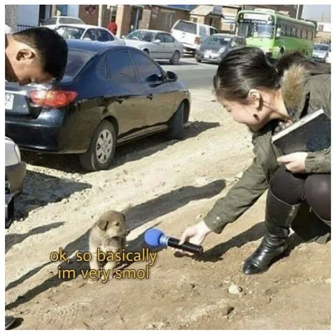 Very Smol Puppy Interview