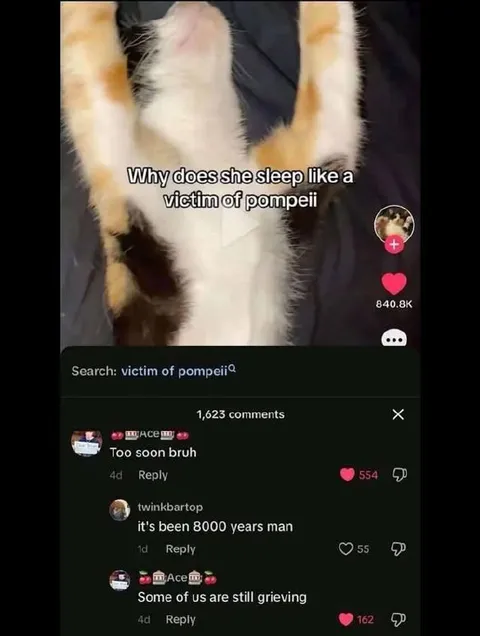 Cat Sleeps Like Pompeii Victim
