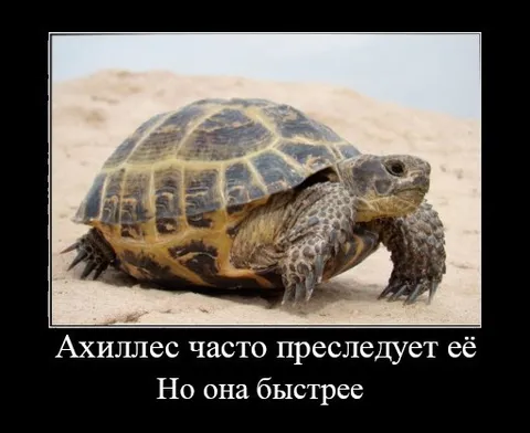 Ахиллес преследует черепаху