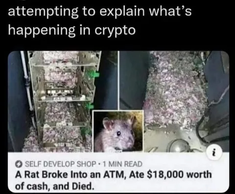Explaining What Happens in Crypto