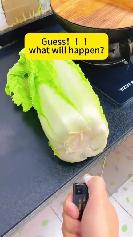 Guess What Will Happen to the Cabbage