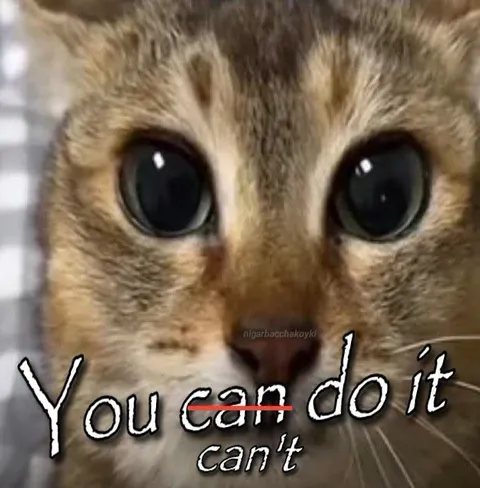 You Can’t Do It Cat